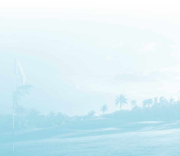 Dark dusk background with palm-tree silhouettes against a deep blue sky.