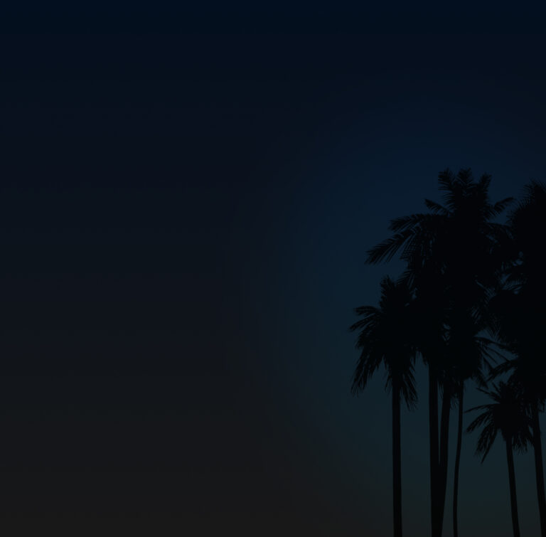 Palmen vor tiefblauem Abendhimmel als dunkler Hintergrund