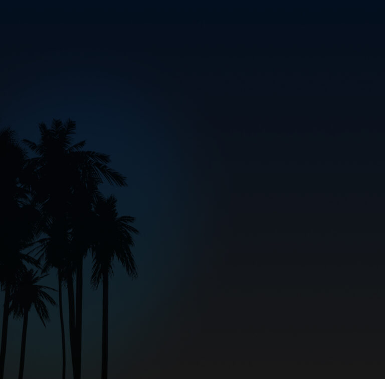 Palmen in der Abenddämmerung als Hintergrundmotiv